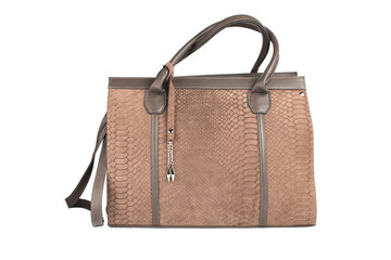 Reptile pattern beige women handbag isolated