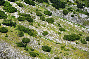 Spring landscape in the mountains