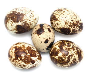 quail eggs on a white background