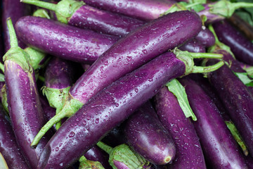 Fresh ripe eggplants. Organic vegetables. Background.