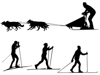 Cross country skiing and dog sledding Sport silhouette - 102201285
