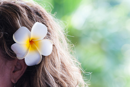 ハワイのイメージ,プルメリア,花の髪飾り