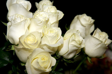 large bouquet of white roses