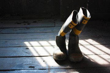 The image "Winter boots
