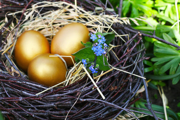 Ostern - drei goldene Ostereier im Osternest aus Birkenzweigen
