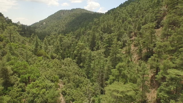 Aerial / Drone shot of a forest in Cyprus 
