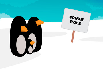 Penguin vector illustration