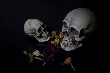Skull and light candle with dry flowers - Still life style