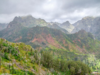 Island named Madeira