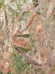 Island named Madeira