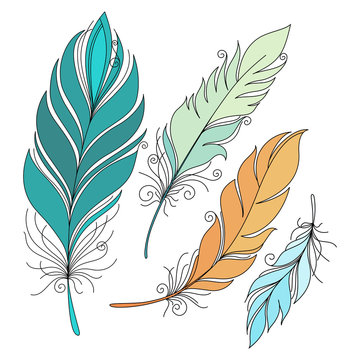 Vector Set of Colored Ornate Decorative Feathers