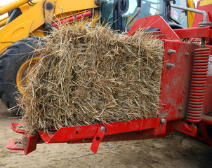 Bale hay