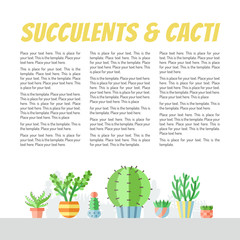 Succulents and cacti flat style multicolored vector backgrounds with place for your text. Modern minimalistic design. Part one.