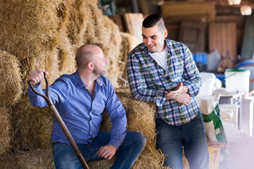 Farmers talking in a barn