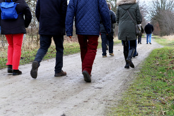 Eine Gruppe von Wanderern geht in den Wald spazieren
