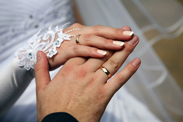 hands of the bride and groom together