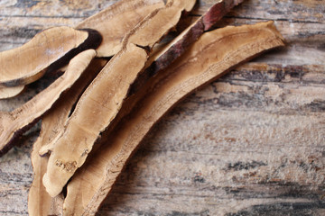 Ganoderma lucidum - Ling zhi mushroom.