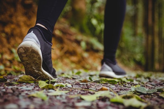 Close Up View Of Woman Sport Shoes Running 