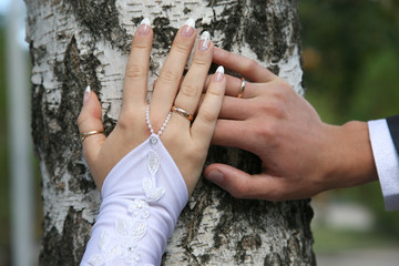 bride and groom show their hands wearing wedding rings