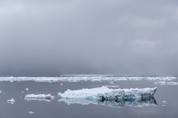 Drifting ice in Antarctic sound, Antarctica. © Johannes Jensås