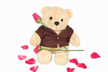 Fuzzy bear holding a red rose.