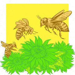 vintage retro vector illustration of bees flying on flower garden