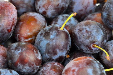 Plum, close up, DOF