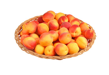 Apricot in wattled plate