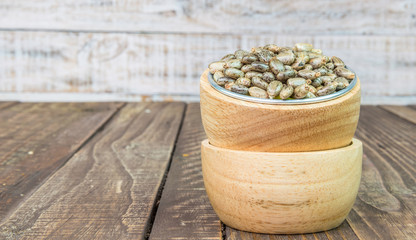 Castor oil seeds - ricinus communis on wood vintage background