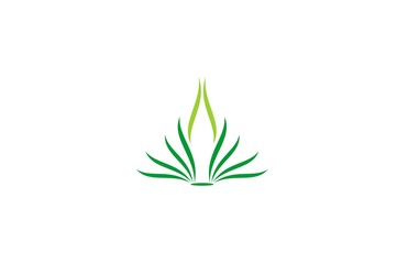 lotus flower spa logo