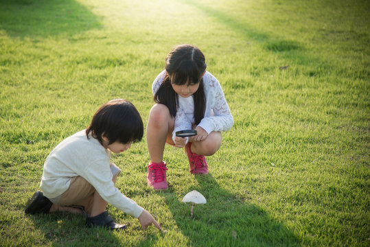 asian children picking mushroom in the park