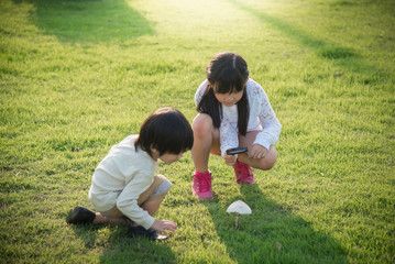 Naklejka na ściany i meble asian children picking mushroom in the park