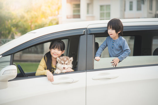 asian children and siberian husky puppy sitting in the car