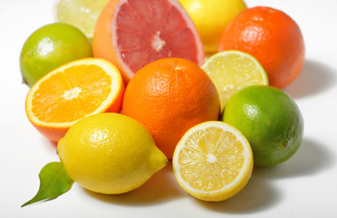 Fototapeta na wymiar citrus fruits isolated