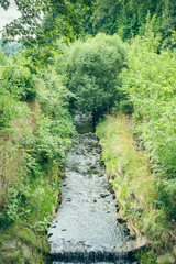 Brook in nature