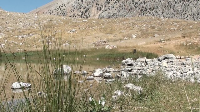 Crater lakeside zoom out