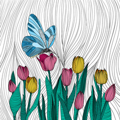 Tulips field and blue butterfly outline hand draw