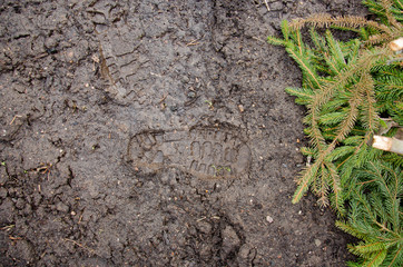 Footprint in the dirt. Brown road dirt with footprints. Background photo texture. Foot mark on the jungle trail. shoeprints in the mud. Dirt field close up background. needle branches