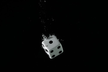 Dice falling into water. On a black background.