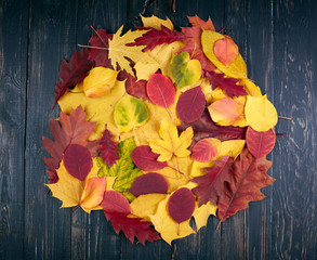Autumn leaves over wooden background