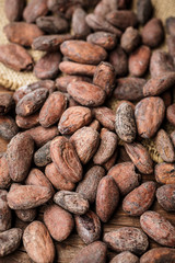 Cacao beans