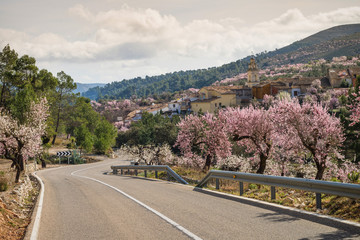 Scenic mountain road