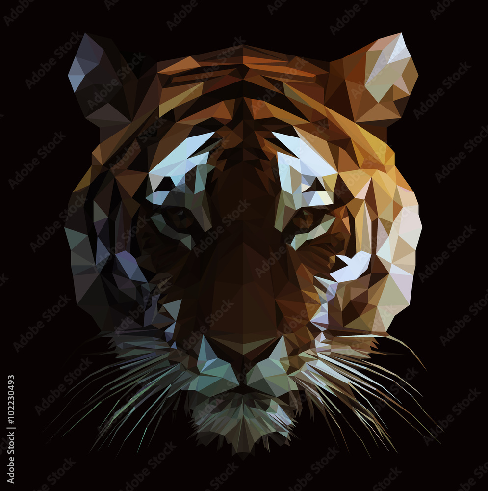 Wall mural low poly vector tiger illustration