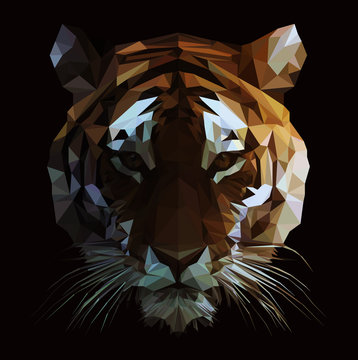 Low Poly Vector Tiger Illustration