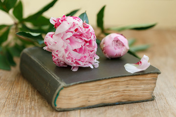Shabby book and flowers on an old table