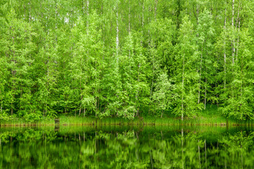 Fototapeta na wymiar Boreal Forest reflected in river