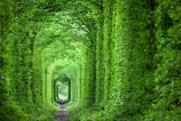 Zelfklevend Fotobehang Fantastic Real Tunnel of Love, green trees and the railroad © Taiga