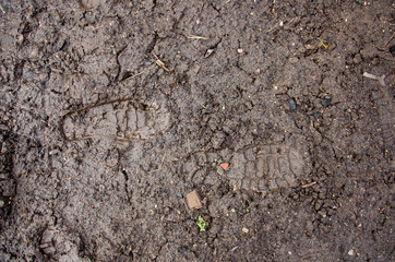 Footprint in the dirt. Brown road dirt with footprints. Background photo texture. Foot mark on the...