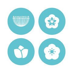 Spring season design 