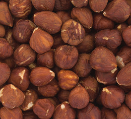 Heap of old hazelnuts